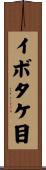 イボタケ目 Scroll