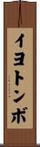 イヨトンボ Scroll