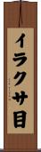 イラクサ目 Scroll
