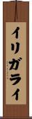 イリガライ Scroll