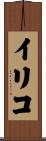 イリコ Scroll