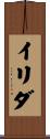 Irida Scroll