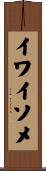 イワイソメ Scroll