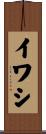 イワシ Scroll