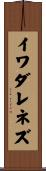 イワダレネズ Scroll