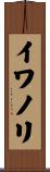 イワノリ Scroll