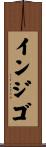 インジゴ Scroll