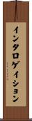 インタロゲイション Scroll
