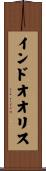 インドオオリス Scroll