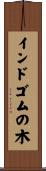 インドゴムの木 Scroll