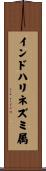 インドハリネズミ属 Scroll