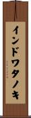 インドワタノキ Scroll
