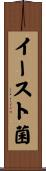イースト菌 Scroll