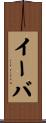 Iva Scroll