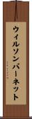 ウィルソンバーネット Scroll