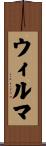 Wilma Scroll