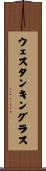 ウェスタンキングラス Scroll