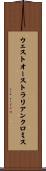 ウェストオーストラリアンクロミス Scroll