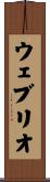 ウェブリオ Scroll