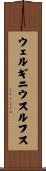 ウェルギニウスルフス Scroll