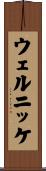 ウェルニッケ Scroll
