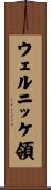 ウェルニッケ領 Scroll
