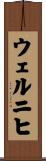 ウェルニヒ Scroll