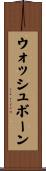 ウォッシュボーン Scroll