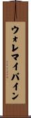 ウォレマイパイン Scroll