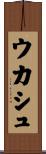 ウカシュ Scroll