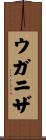 ウガニザ Scroll