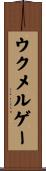 ウクメルゲー Scroll