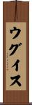 ウグイス Scroll