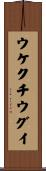 ウケクチウグイ Scroll
