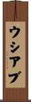 ウシアブ Scroll