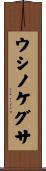 ウシノケグサ Scroll