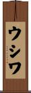 ウシワ Scroll