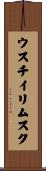 ウスチイリムスク Scroll