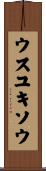 ウスユキソウ Scroll