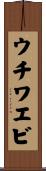 ウチワエビ Scroll
