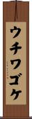 ウチワゴケ Scroll