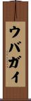 ウバガイ Scroll