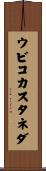 ウビコカスタネダ Scroll