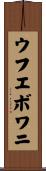 ウフエボワニ Scroll