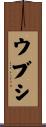 ウブシ Scroll