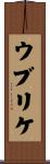 ウブリケ Scroll