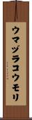 ウマヅラコウモリ Scroll
