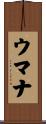 Umana Scroll