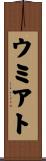 ウミアト Scroll