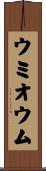 ウミオウム Scroll